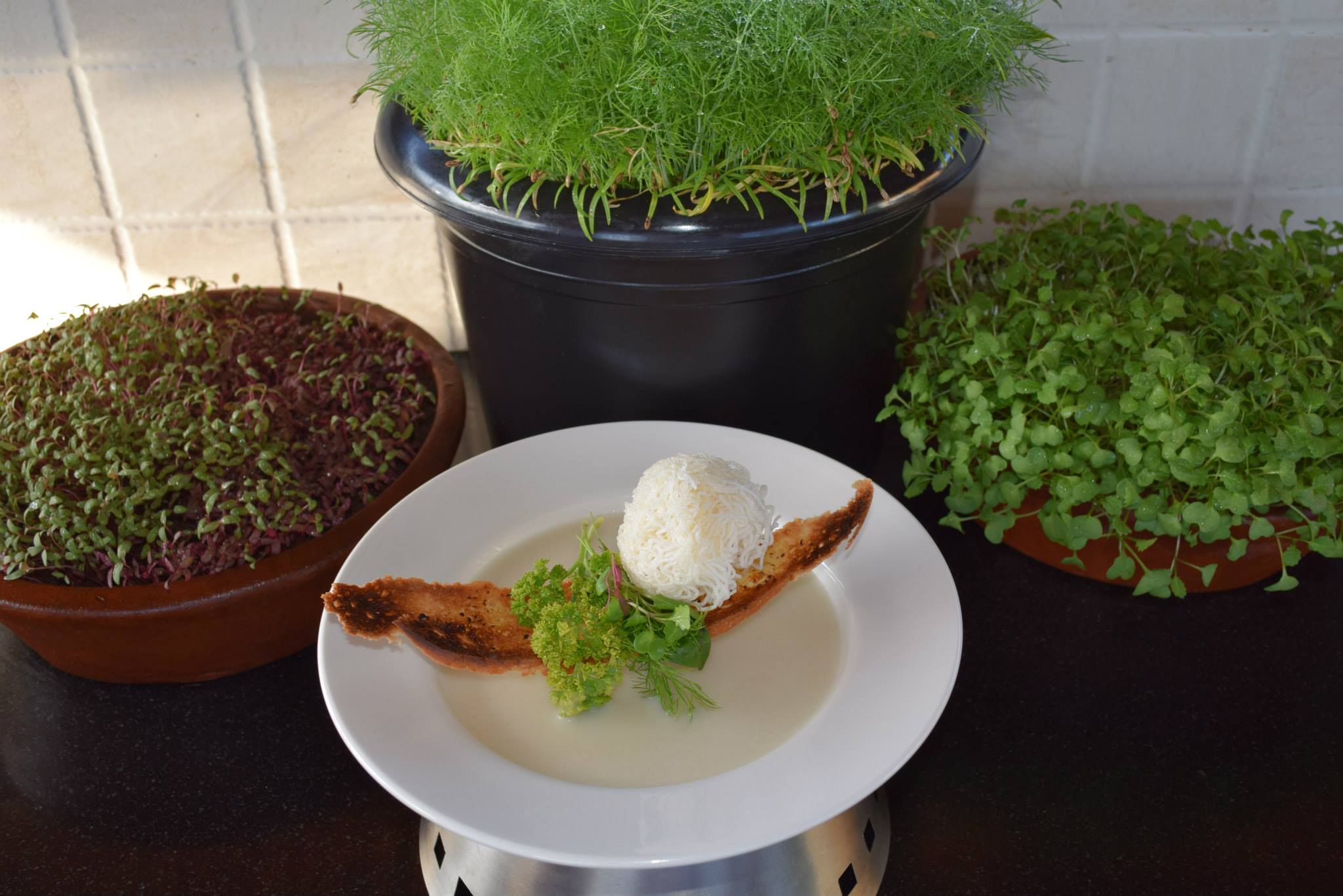 Chef Bishnu BC's signature dish 4 - gourmet Indian fusion